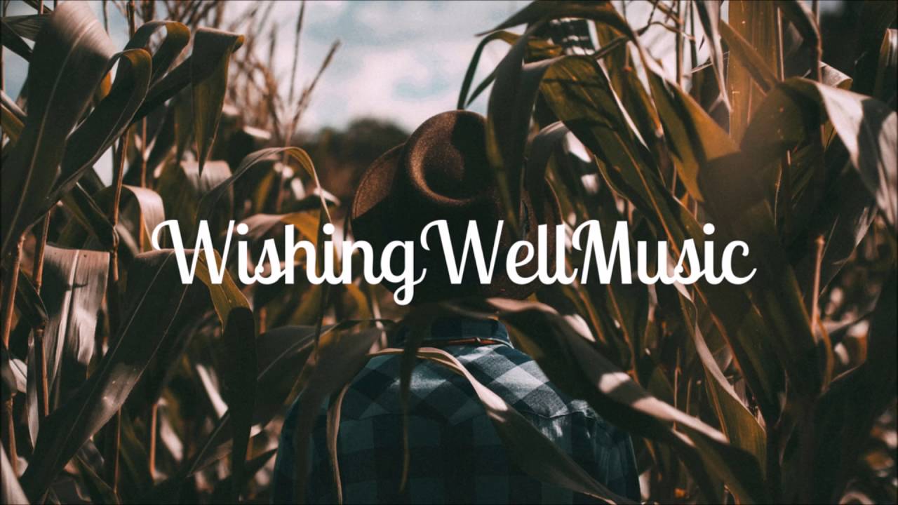 IDGVF & Dimebag - Things I'd Do