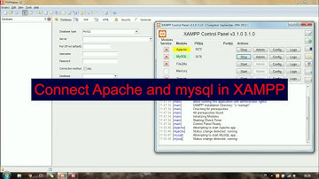 How to Connect Database MYSQL with PHPMaker