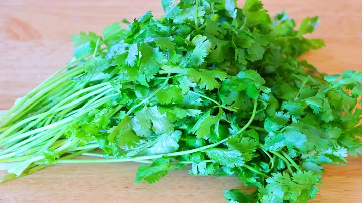 3 Ways to Preserve Cilantro for Weeks or Months! CiCi Li - Asian Home Cooking Recipes - DayDayNews