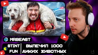 СТИНТ СМОТРИТ: Я Спас 1000 Животных От Гибели