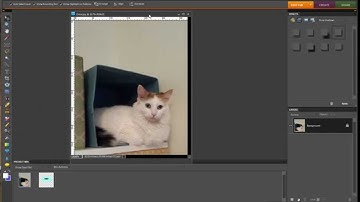 Photoshop Elements 8 - Adding a Drop Shadow