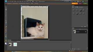 Photoshop Elements 8 - Adding a Drop Shadow