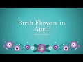 Korean Birth Flowers for April