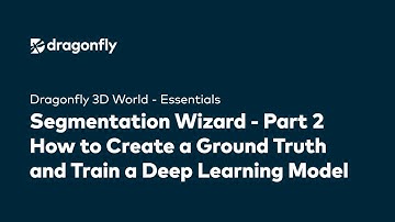 Segmentation Wizard - Part 2: How to Create a Ground Truth and Train a Deep Learning Model