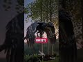 The 4-Winged Dinosaur That Could Fly