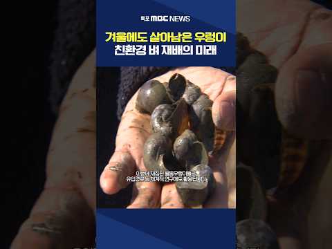 왕우렁이 찾아 트랙터 출격..기상이변이 바꾼 농촌 #shorts