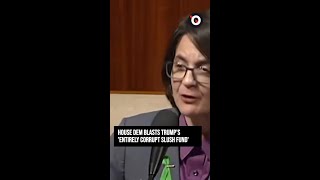House Dem blasts Trump's 'Entirely Corrupt Slush Fund'