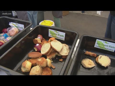 South Bay high school students tackle food waste