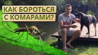 Как избавиться от комаров на участке? Обработка участка от комаров