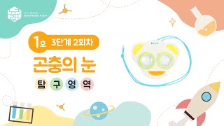 노리랑 플러스 - 3단계 2회차 곤충의 눈