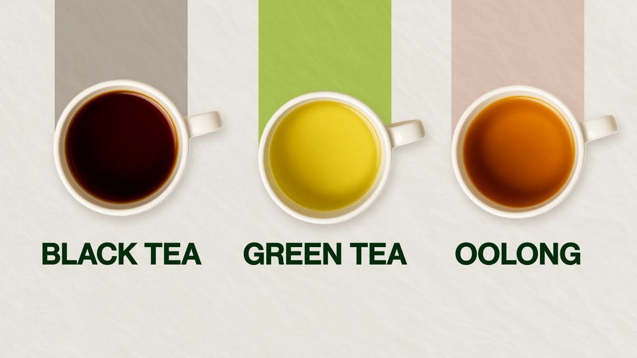 Oolong Tea Green Tea vs Black Tea - 3 Different Tea Types Explained ...