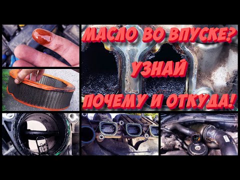 Масло во впускном коллекторе? Узнай почему и откуда масло во впуске!