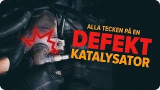 Byta Katalysator på PEUGEOT 207 - underhållsråd