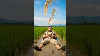 Farmer Waits Rice To Fall On The Ground Philippines🇵🇭🌾🍚#ricefarmer #provincelife #philippines #funny