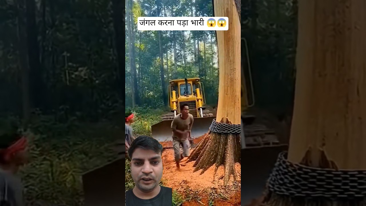 Elephants Stop Illegal Tree Cutting 😱 Bulldozer Forced to Retreat😱