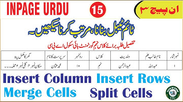 How to Insert and Format Table in Inpage | Inpage Complete Course Class 15