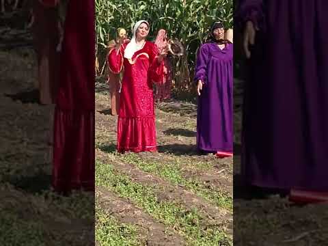 من اجمل المقاطع الحجه نبيله بلبله الشرقيه