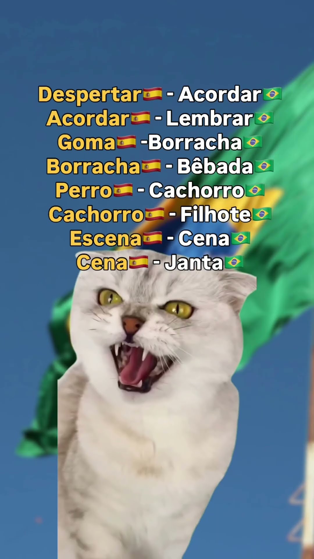 Cena em espanhol: jantar, e a cena do filme é escena