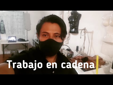 ¿Qué Hacen Los Trabajadores A Domicilio Como Carrera?