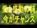 今がチャンス、悲しむほどに人の気持ちがわかる愛と感動の詩、 歌詞集