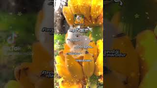 ilgincc #oldies #coversong #singer #song #vintage #audio