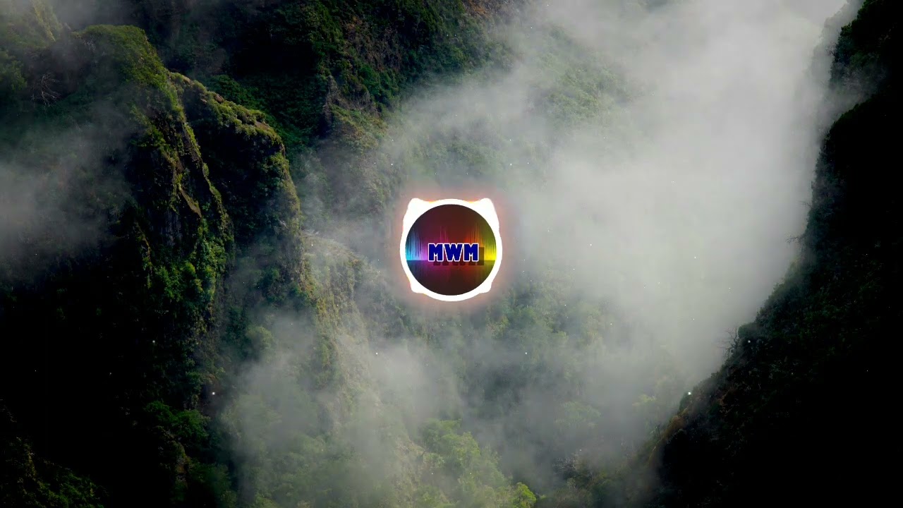 LAURA PLATT - Intangible Ascension