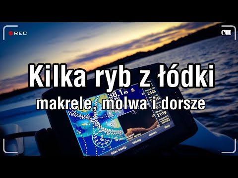 Wideo: Jak łowić Do Celów Przemysłowych