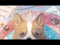 KillerBlood／小柯基的美夢 (Little Corgi's Dream)