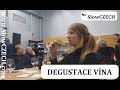 Příběh v češtině (06): Degustace Svatomartinského vína (CZE subtitles)