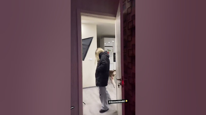@NikaTMG - და დეა 🤣