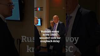 Russian diplomat says UNSC won't vote to delay snapback sanctions