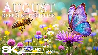 August 2026 – Magical Summer Flower Fields in 8K 🦋 Endless Butterflies, Busy Bees & Blooming Nature