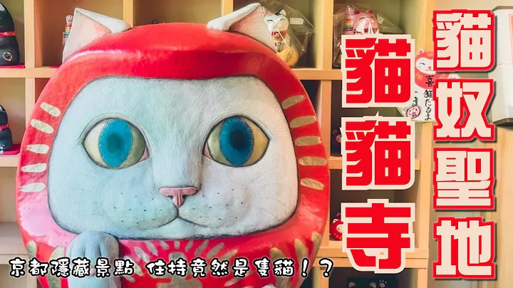 猫奴必访！ 住持竟然是猫！？百年古民家 开运大日猫来 猫的天井画 ｜京都八瀬｜猫猫寺 猫猫寺｜【京都旅游景点攻略】 - 天天要闻