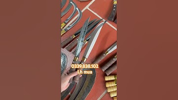 Dao mèo mini k vỏ