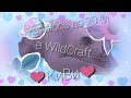 ❤🐼Качаюсь до 20lvl в WildCraft🐼❤