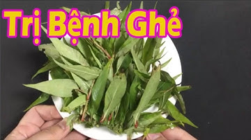 Cách chữa bệnh ghẻ lở, hắc lào tại nhà chỉ bằng 1 nắm rau dăm [Sức khỏe]