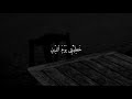 02         تامر حسني حبك لو غلطهمن البوم لينا معا