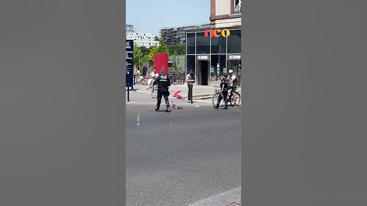 Ces policiers escortent une famille… de canards