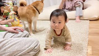 カメラ見つけると無限に凸してくる7ヶ月赤ちゃん