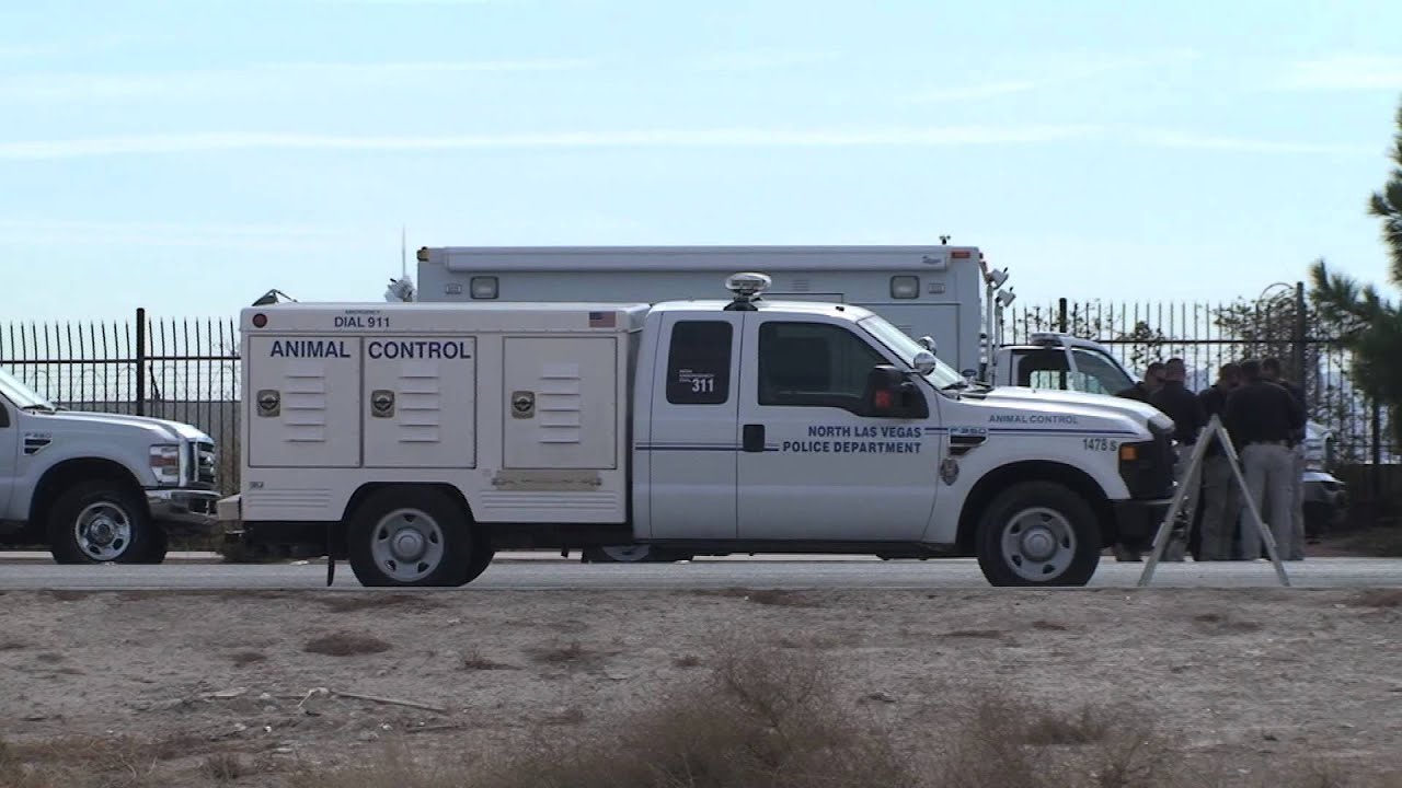 North Las Vegas Animal Control Vehicle