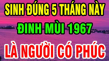 Tuổi Đinh Mùi 1967 Sinh Đúng Tháng này được Hưởng Lộc Trời - Về Già Phát Tài Rực Rỡ, sống an nhàn