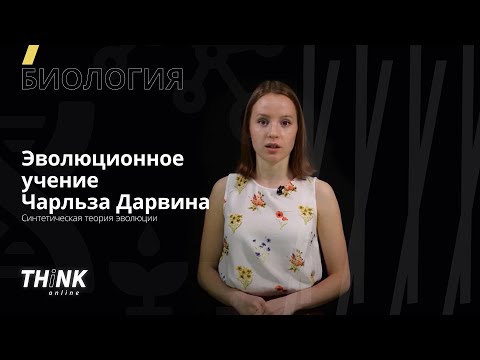 Эволюционное учение Чарльза  Дарвина. Синтетическая теория эволюции | Биология