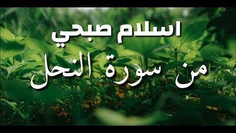ما تيسر من سورة النحل | تلاوة عطرة القارئ اسلام صبحي