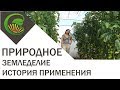 История применения природного земледелия на садовом участке. Новосибирск