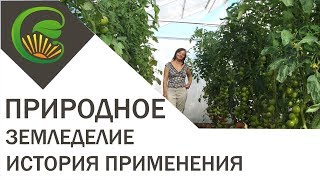 История применения природного земледелия на садовом участке. Новосибирск