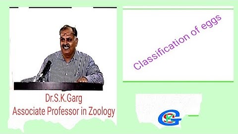 Classification of eggs