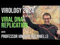 Virology Lectures 2024 #8: Viral DNA replication