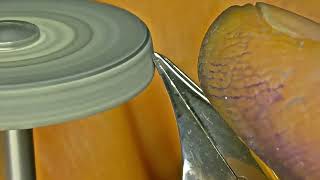 How I grind a Stacked Flex Fountain Pen Nib:  Under the Microscope