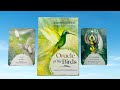 Oracle of the birds  a 46 card deck and guidebook  flip through  walkthrough