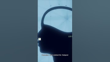 Unlocking the Secrets of Our Brains: The Neurobiology Behind Every Thought and Emotion